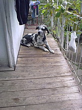 02102010557.jpg