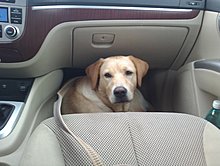 img_20100925_110726.jpg