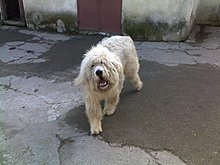 14032010392.jpg