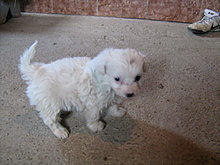 img_2020.jpg