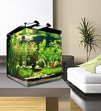 nanocube_60lcompleteplus_03.jpg
