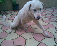 imag064.jpg