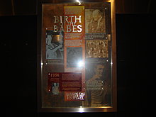 dsc03705.jpg