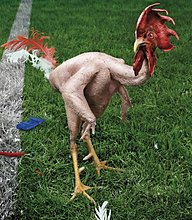 rooster.jpg