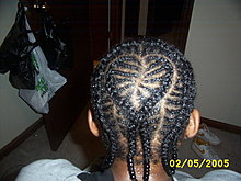 cornrows_04.jpg