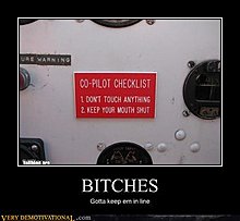 demotivational-posters-btches.jpg