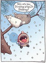 tb7_birdideas.jpg