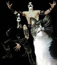 cat-saturday-14.jpg