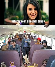21zec.jpg