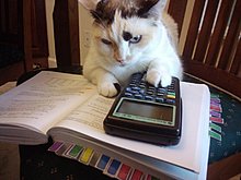 friday-randomness-11.jpg