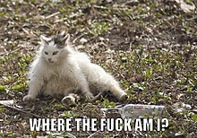 mondays-dar-25.jpg