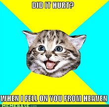 memes-did-hurt-when-i-fell-you-heaven1.jpg