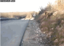 synchronizedfailp1.gif