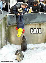 feeding_raccoons_upside_down_parenting_fail.jpg