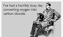 busy-day.jpg