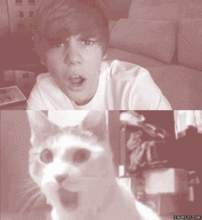 funnypicturesgifsjustin.gif