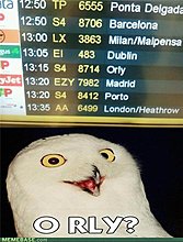 memes-o-rly.jpg