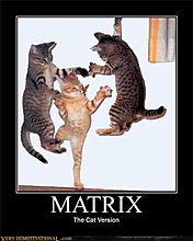 funny_demotivational_posters_26.jpg