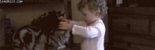8dd2e900-a7dd-4480-9e08-4a4b934cd43c.gif