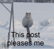 1305307477447.png