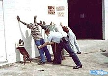 dog-getting-searched.jpg