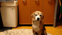 91b45199-c2b5-40b8-87c3-cd6a04f469af.gif