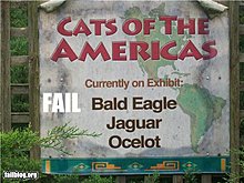 epic-fail-photos-zoo-fail.jpg