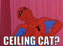 ceilingcat.png