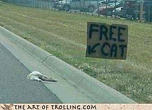 chatroulette-trolling-free-cat.jpg