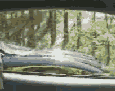 funny.gif