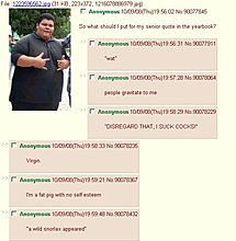 1227874382246.jpg