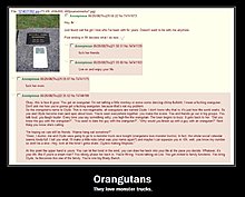 1227874516661.jpg