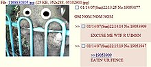 1227993683033.jpg
