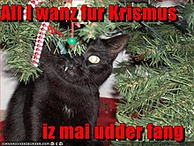 funny-pictures-all-cat-wants-christmas-his-other-fang.jpg