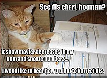 funny-pictures-cat-showing-you-chart.jpg