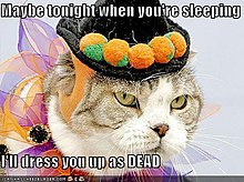 funny-pictures-cat-will-kill-you-dressing-him-up.jpg