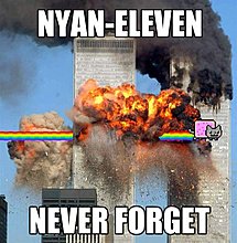 8590.jpg