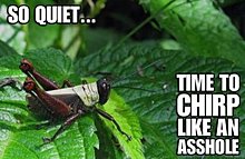 chiving-tuesay-8.jpg