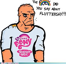 my-little-pony-friendship-magic-brony-what-did-you-say-about-fluttershy.jpg