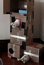 90592e2650548811692e5538230b2c74.jpg