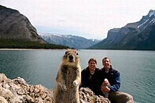 photobombs_05.jpg