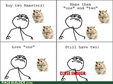 rage-comics-hamsters-1-.jpg