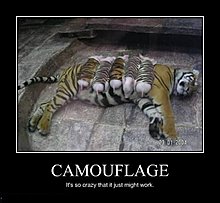 camouflage.jpg
