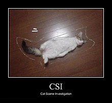 csi.jpg