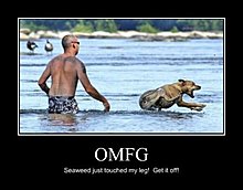 dog.jpg