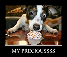 preciouss.jpg