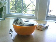 image006.jpg