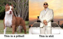 pit.png