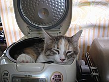 image018.jpg