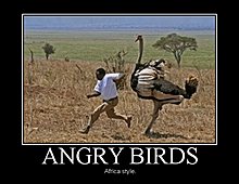 demotivational_angry.jpg